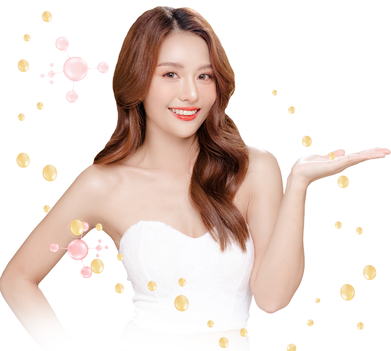 BG Header mau